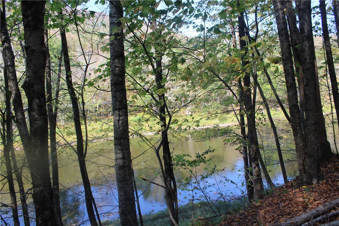 Rd Road East Branch, NY 13756 - Photo 13 of 21 Beaverkill River front