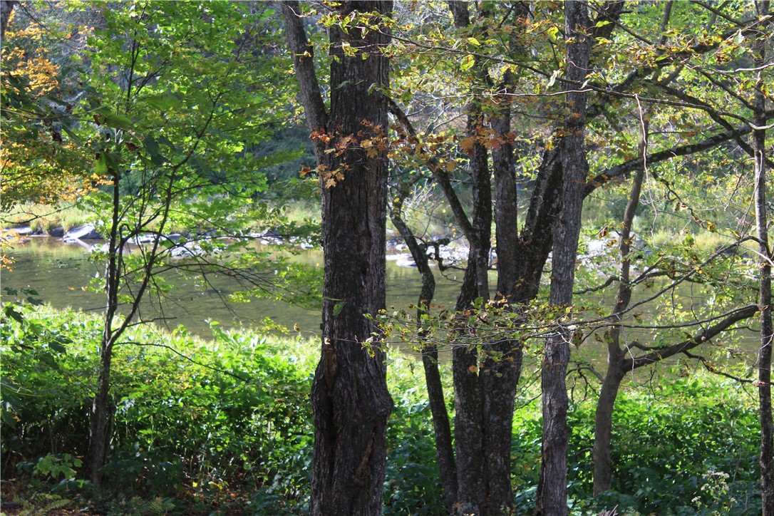 Rd Road East Branch, NY 13756 - Photo 16 of 21 Beaverkill River front