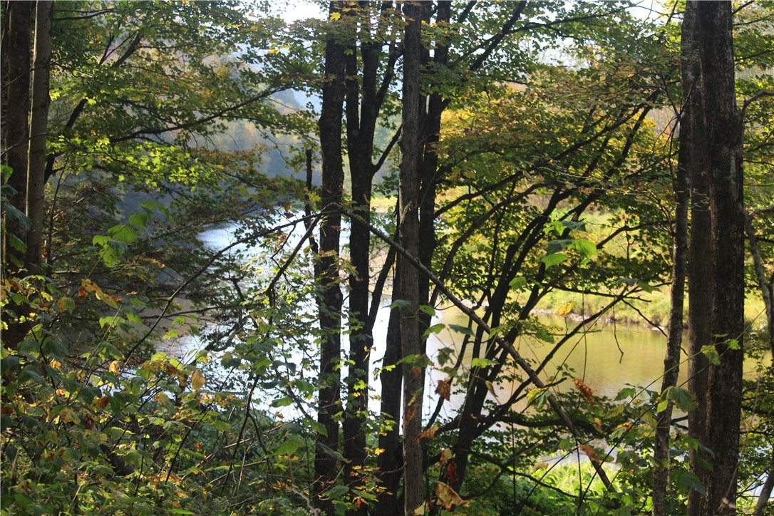 Rd Road East Branch, NY 13756 - Photo 17 of 21 Beaverkill River front