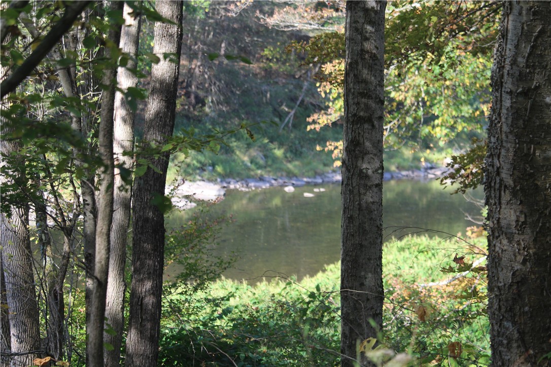 Rd Road East Branch, NY 13756 - Photo 18 of 21 Beaverkill River front