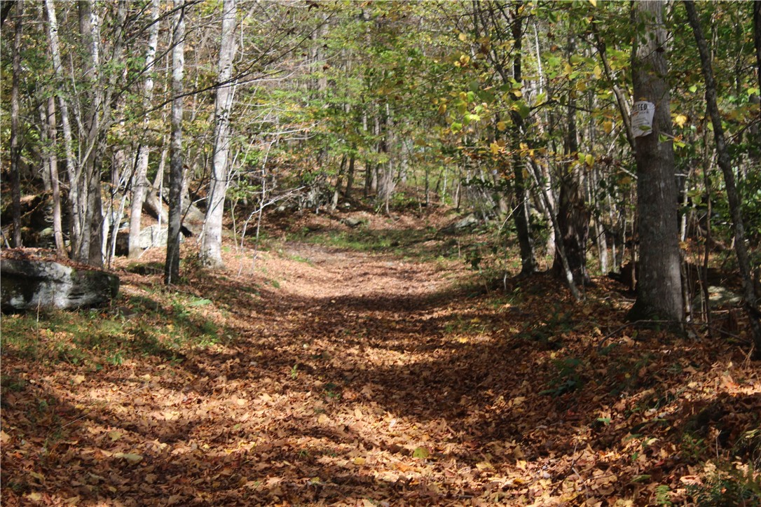 Rd Road East Branch, NY 13756 - Photo 8 of 21 Trail