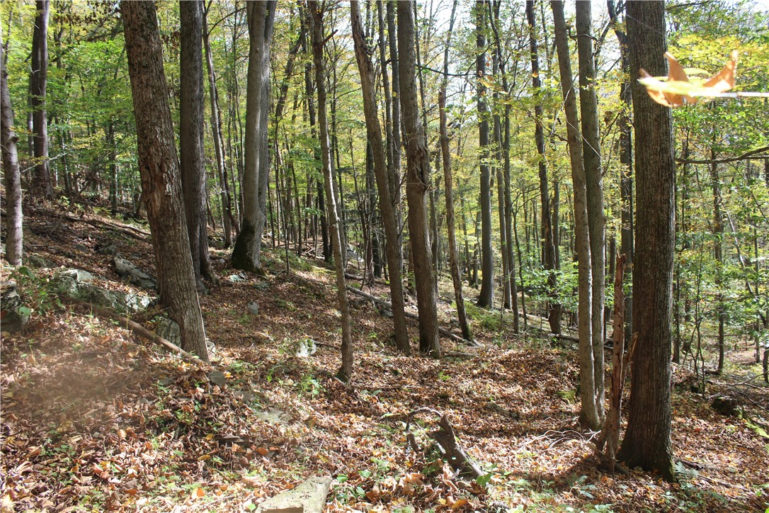 Rd Road East Branch, NY 13756 - Photo 9 of 21 Trail