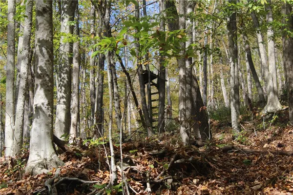 $675,000 | Rd Road, East Branch, NY 13756