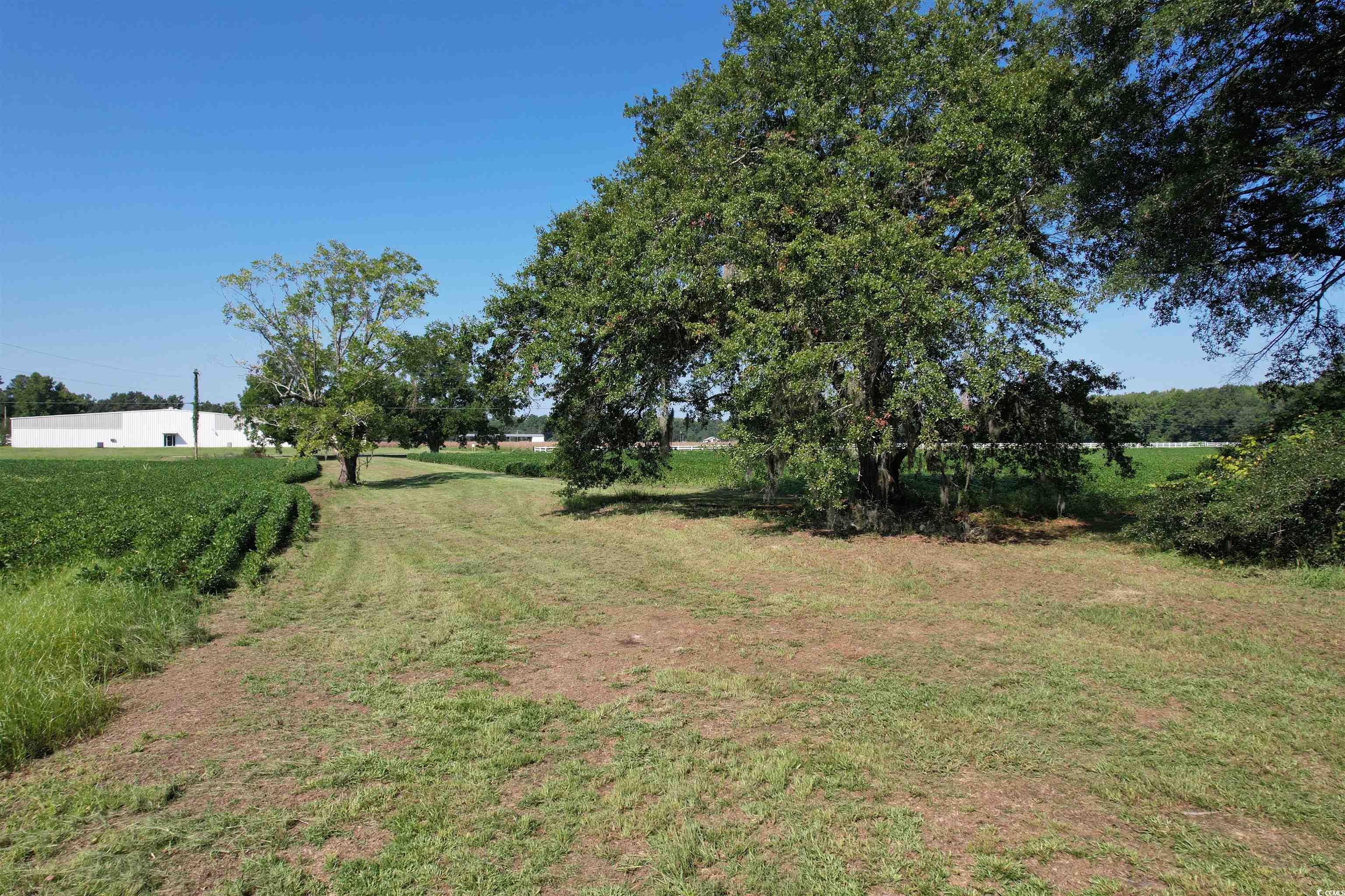 Tbd Sumter Highway Kingstree, SC 29556 - Photo 8 of 15