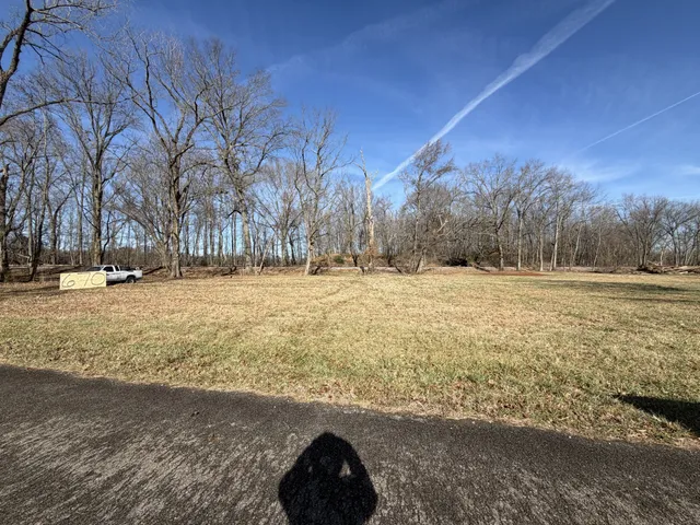 a view of road with large trees