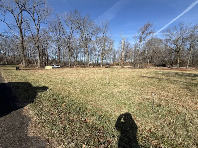 a view of yard with trees