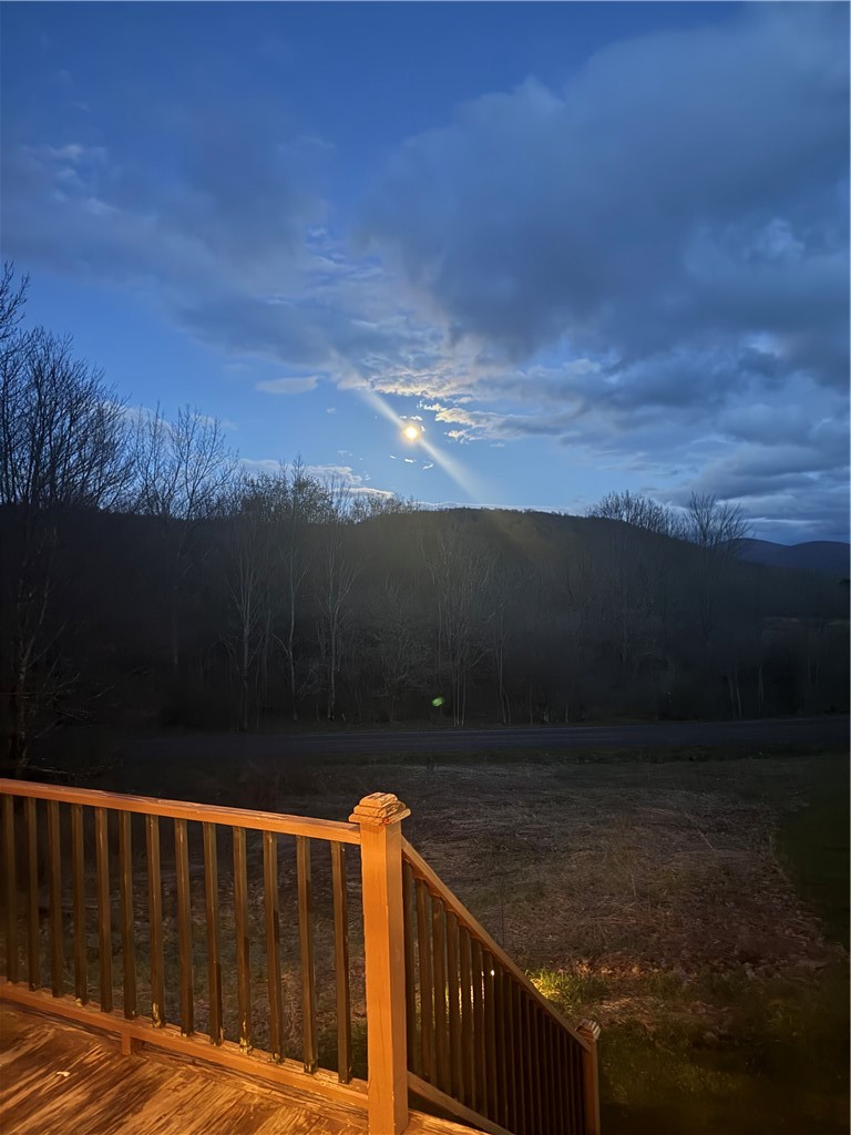 73 Reagan Road Bovina, NY 13740 - Photo 11 of 45