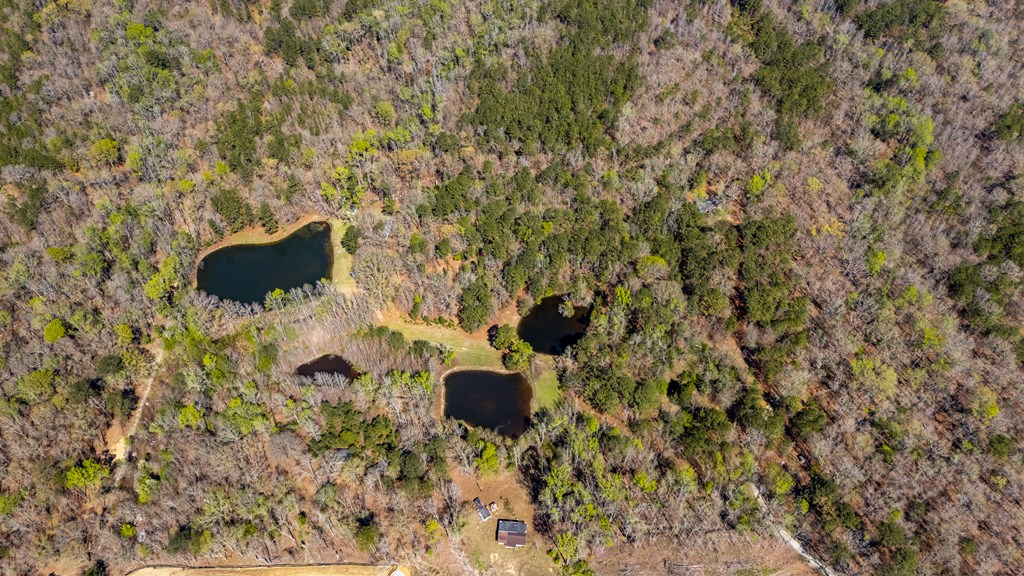 10477 Macon Road Midland, GA 31820 - Photo 3 of 10