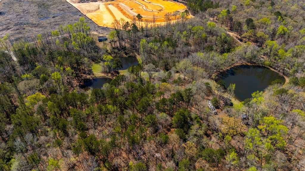 10477 Macon Road Midland, GA 31820 - Photo 6 of 10 a view of a lake