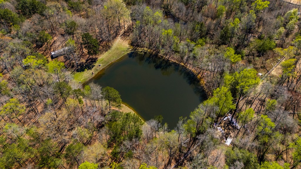 10477 Macon Road Midland, GA 31820 - Photo 7 of 10 a view of lake