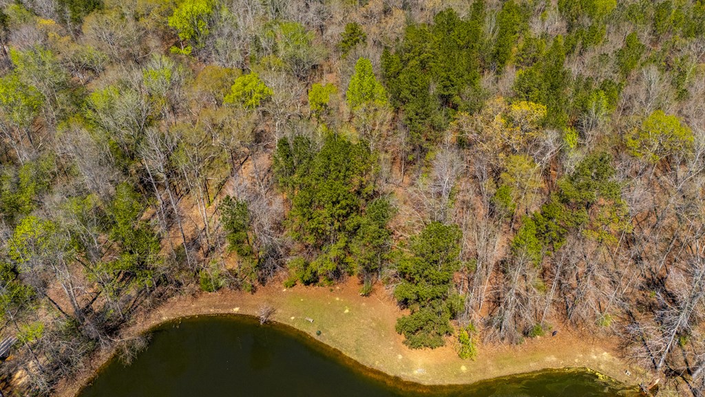 10477 Macon Road Midland, GA 31820 - Photo 9 of 10 a view of a yard of a house