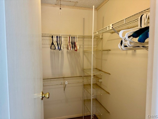 2190 Danby Road Danby, NY 13864 - Photo 26 of 43 primary closet
