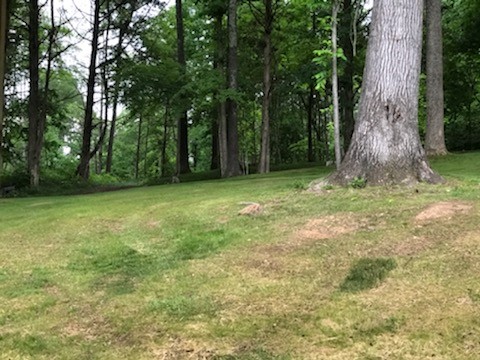 3881 Vernon Creek Road Cunningham, TN 37052 - Photo 14 of 15 Gallery Image 14