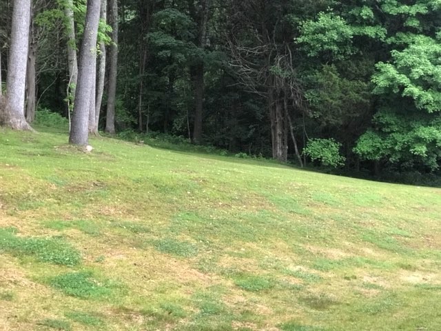 3881 Vernon Creek Road Cunningham, TN 37052 - Photo 15 of 15 Gallery Image 15
