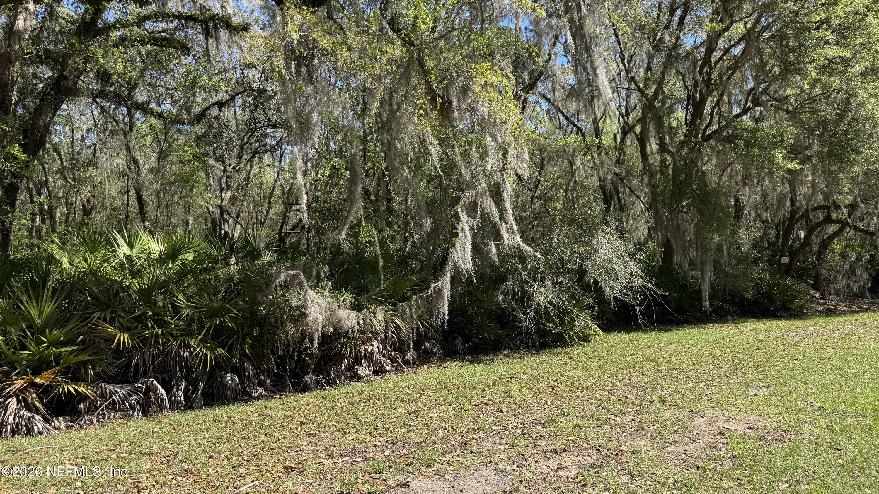 0 Lake Susan Road Hawthorne, FL 32640 - Photo 2 of 5 a view of a yard with trees