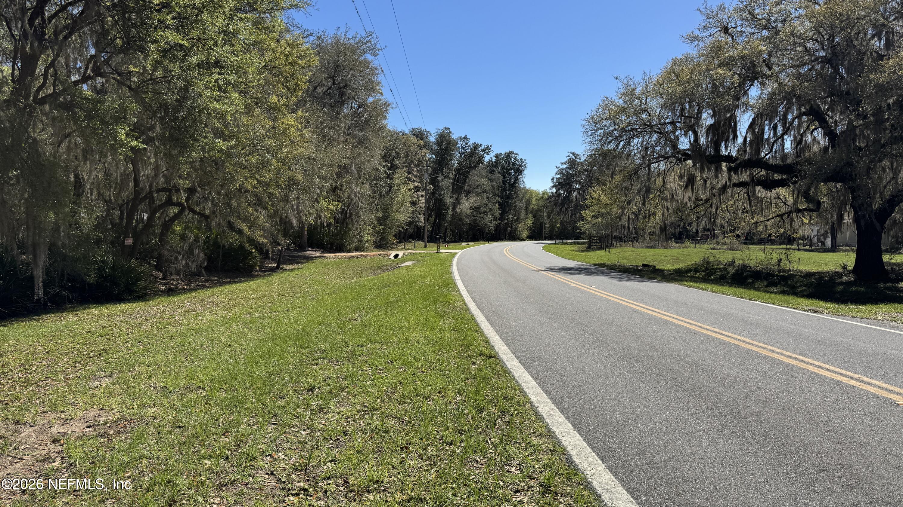 0 Lake Susan Road Hawthorne, FL 32640 - Photo 3 of 5 a view of a yard with potted plants and large trees