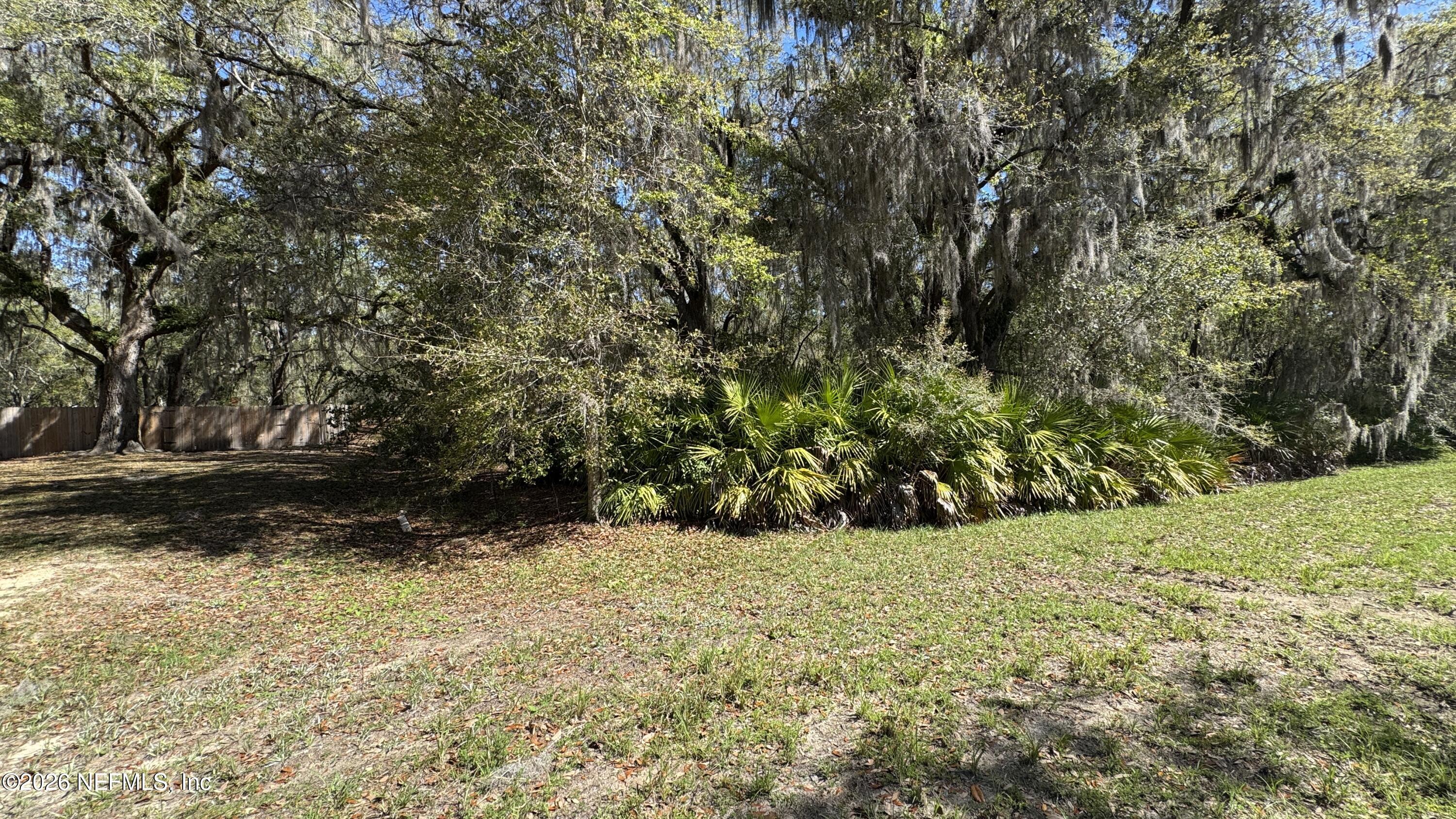 0 Lake Susan Road Hawthorne, FL 32640 - Photo 4 of 5 a view of yard with large trees
