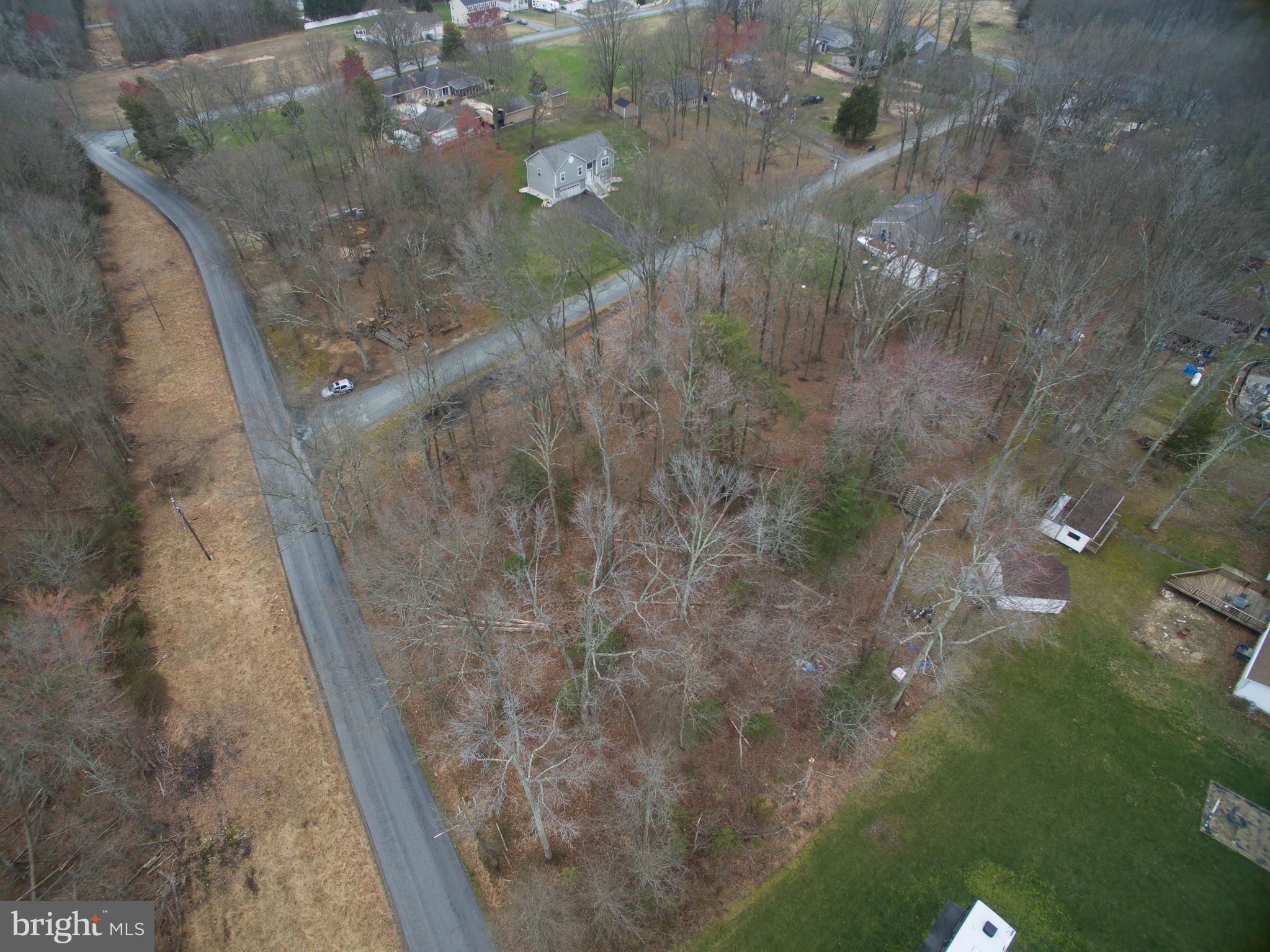 0 Brent Point Road Stafford, VA 22554 - Photo 12 of 28 a view of a tree