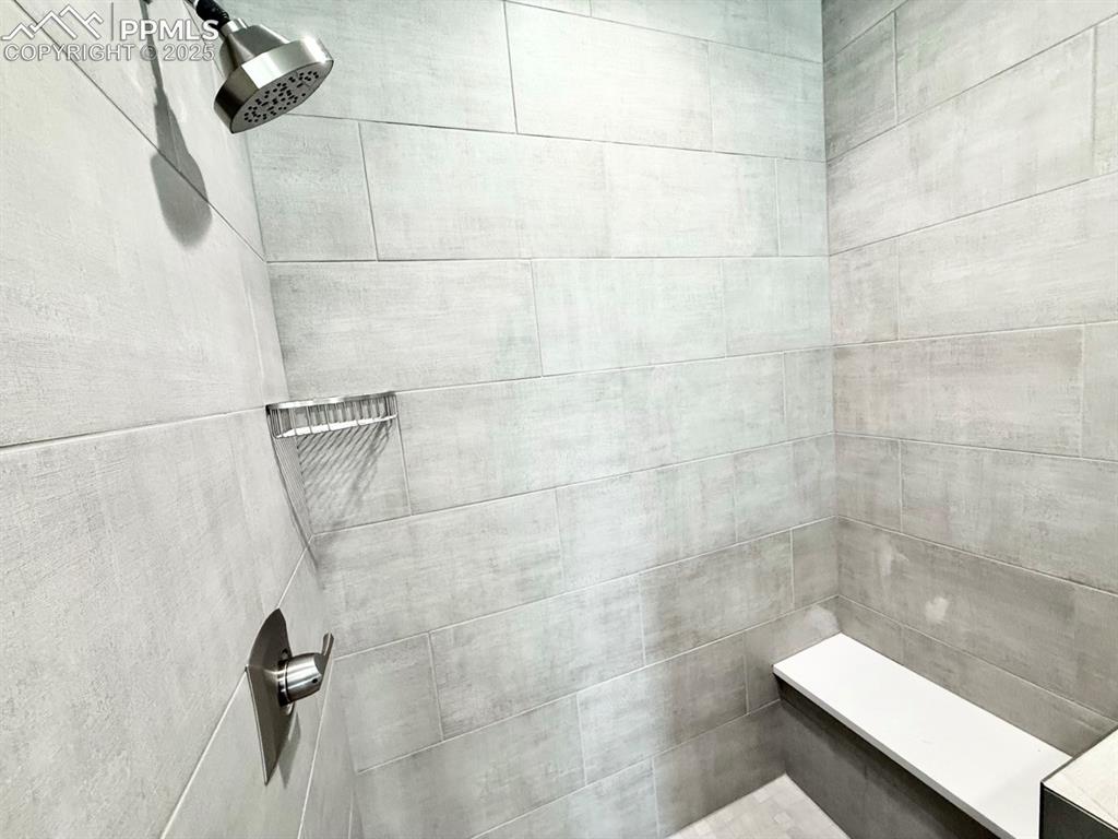 3155 Promise Point Colorado Springs, CO 80921 - Photo 21 of 26 a bathroom with a shower