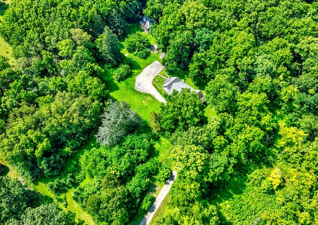a view of a garden with a tree
