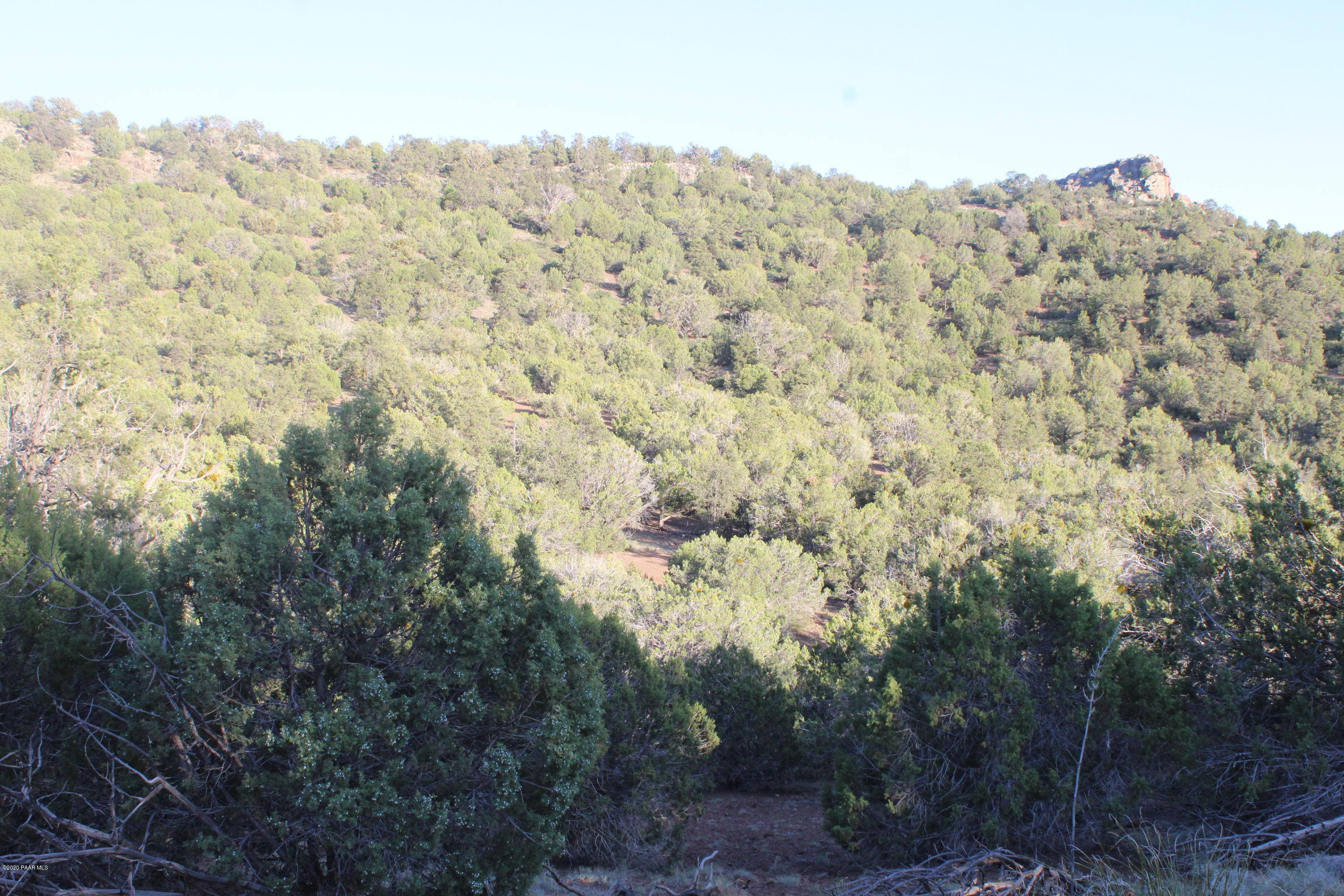 Lot 7 Shadow Rock Ranch Seligman, AZ 86337 - Photo 4 of 10 IMG_5482
