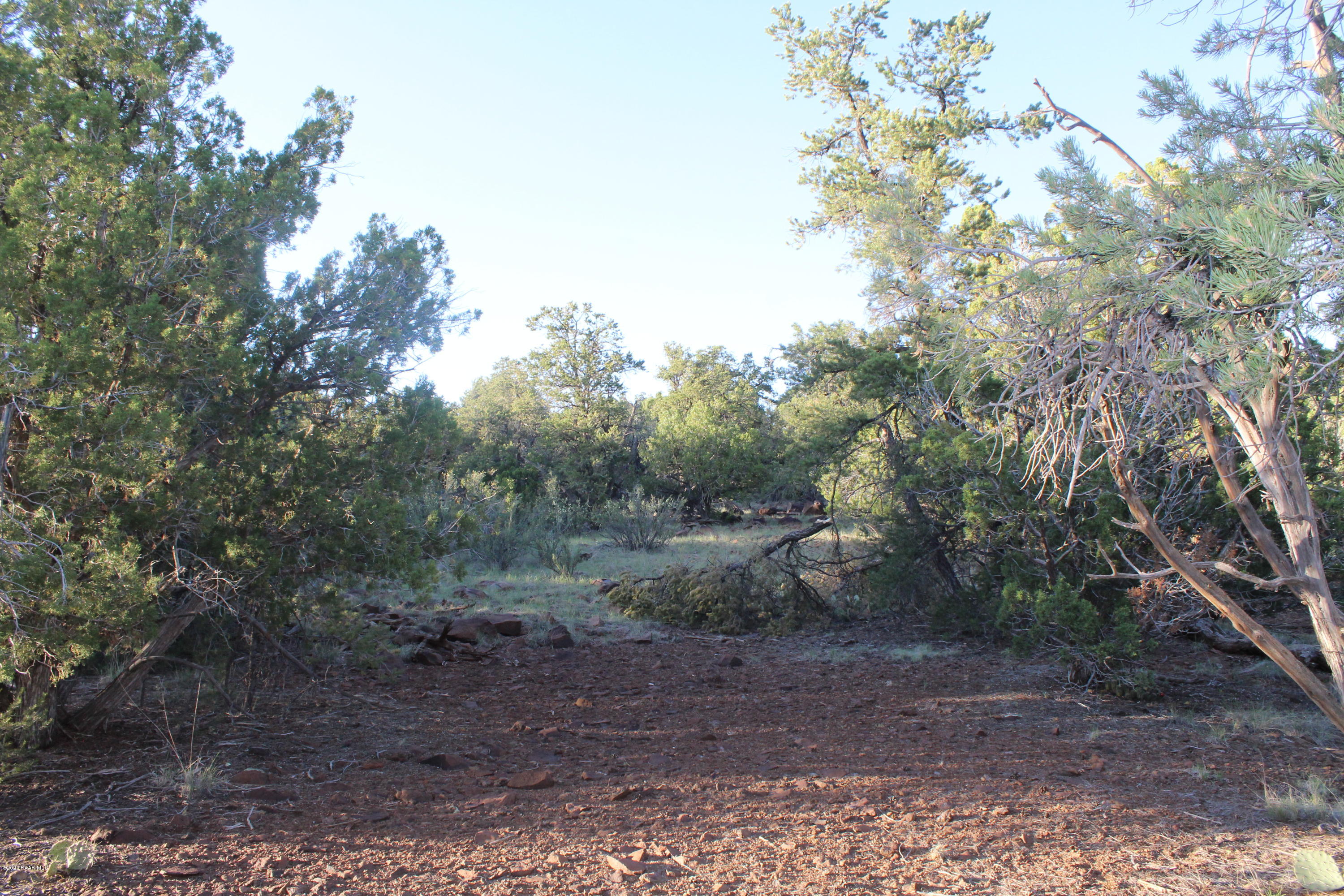 Lot 7 Shadow Rock Ranch Seligman, AZ 86337 - Photo 6 of 10 IMG_5487