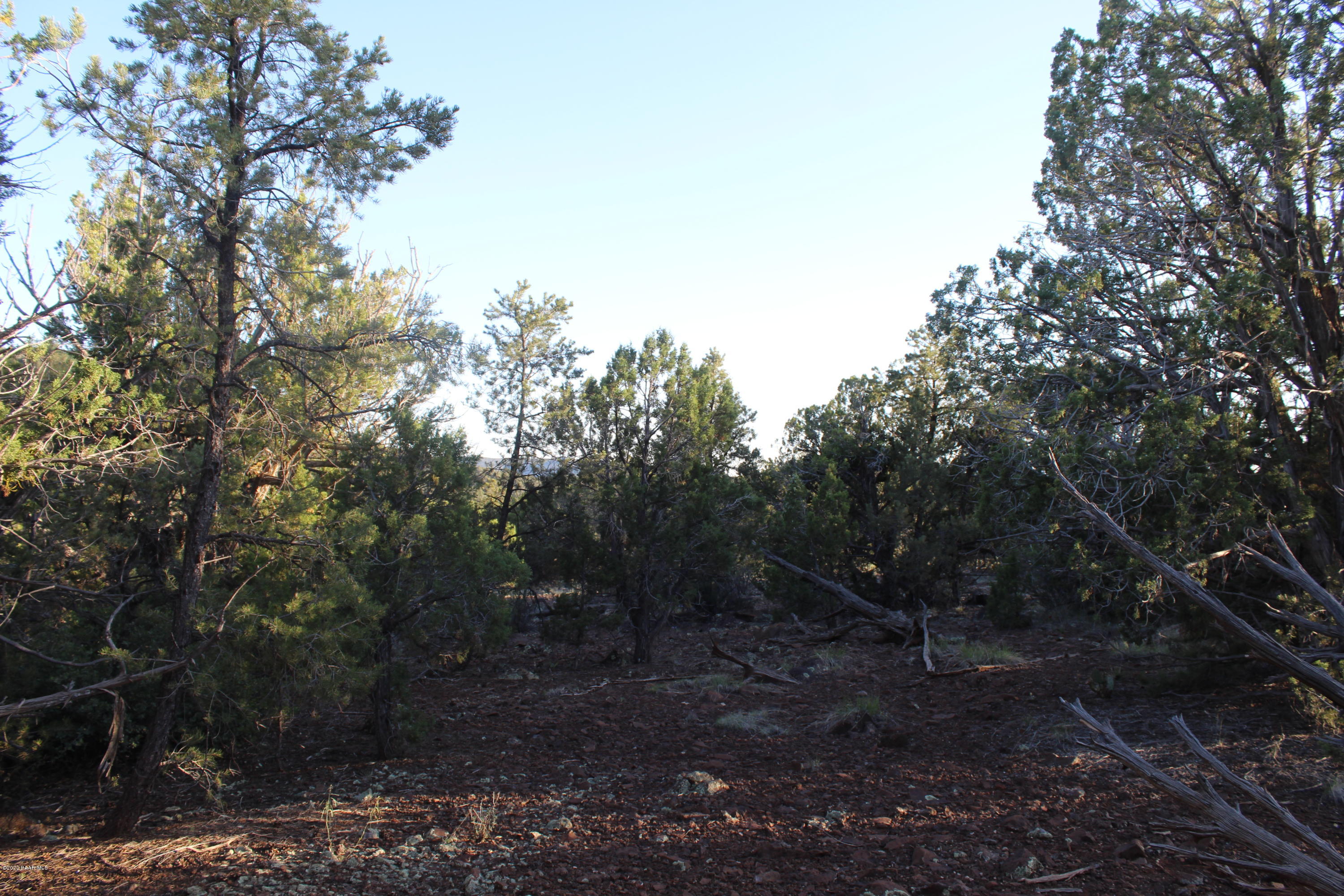 Lot 7 Shadow Rock Ranch Seligman, AZ 86337 - Photo 7 of 10 IMG_5488