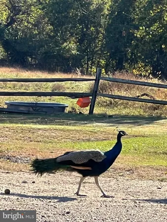 $1,800 | 7606 Woodyard Road, Unit A, Clinton, MD 20735