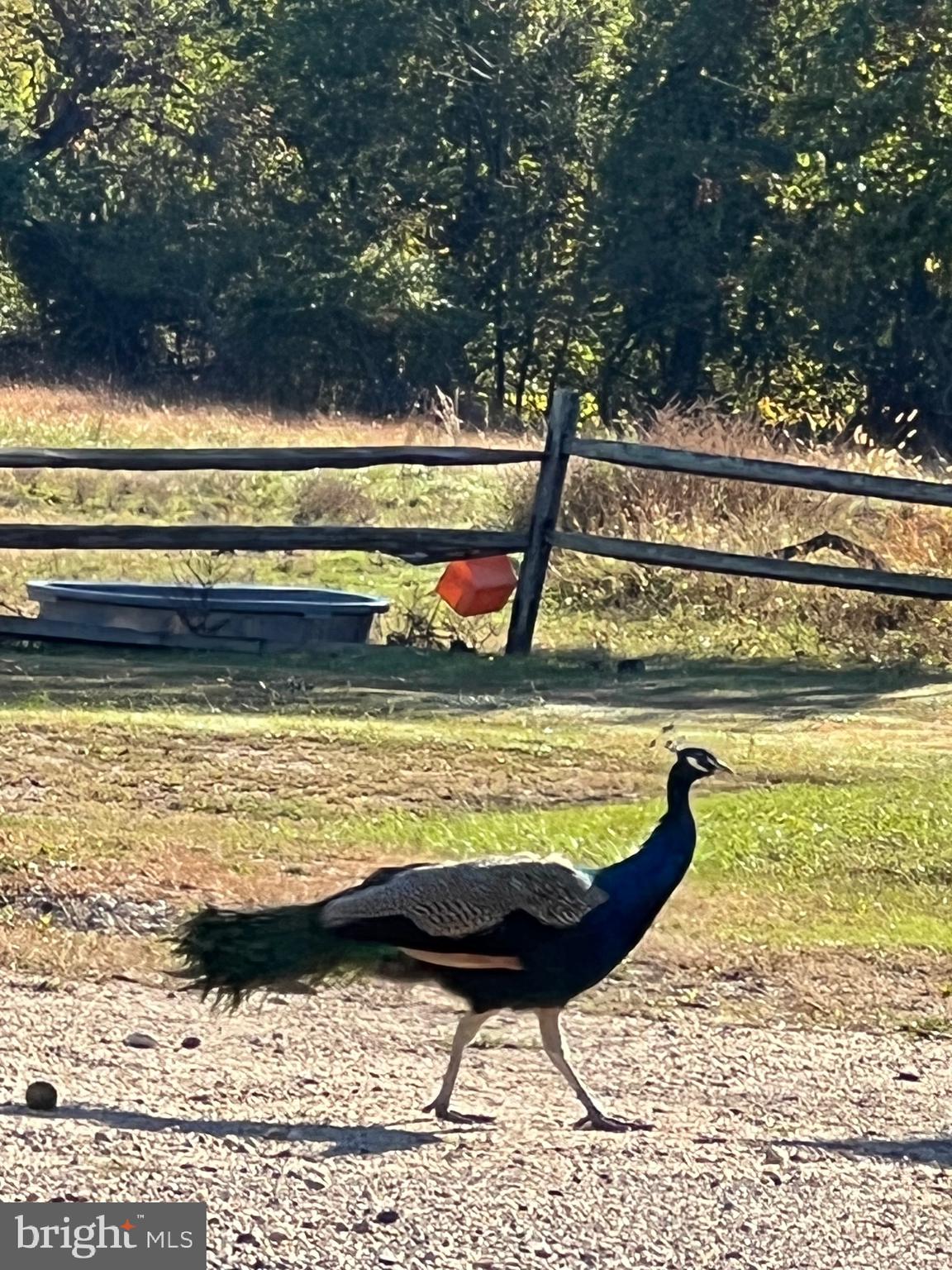 7606 Woodyard Road, Unit A Clinton, MD 20735 - Photo 3 of 20