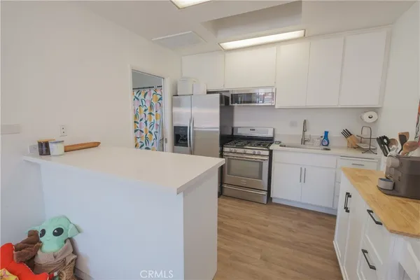 a view of a backyard with a garden and plants