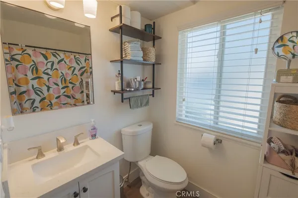 a view of a patio with couches chairs potted plants and a palm tree