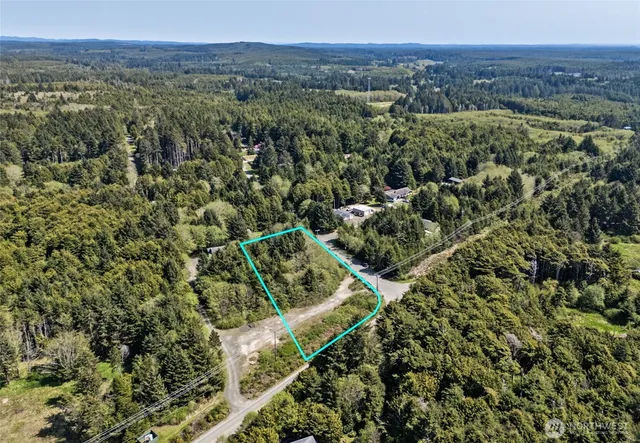 a view of a garden with a tree