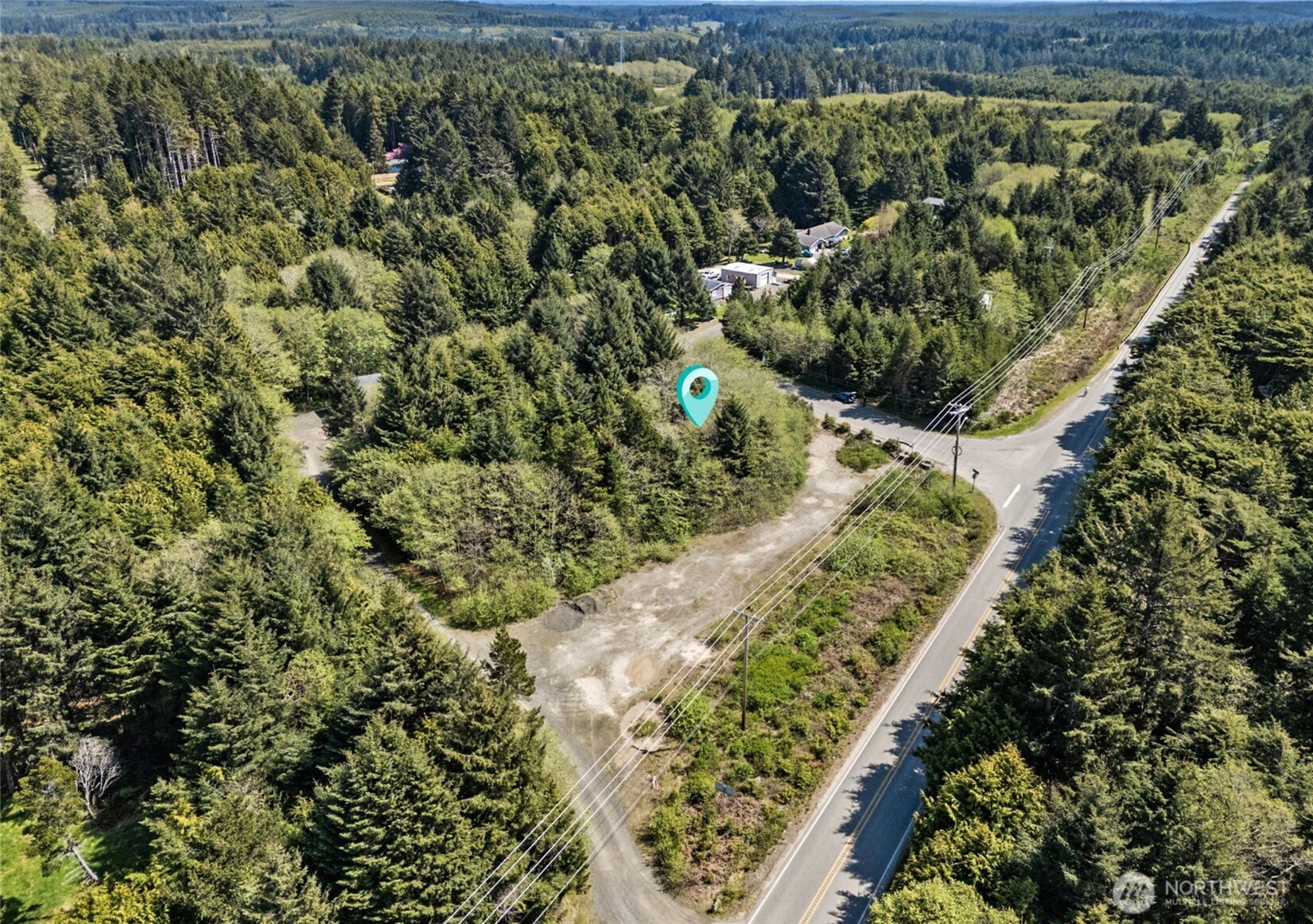 0 State Route 109 Pacific Beach, WA 98571 - Photo 5 of 7 a view of a garden with a tree
