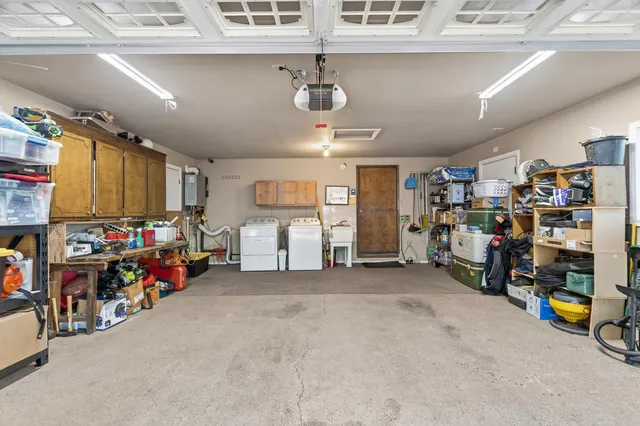 a view of a forest filled with trees