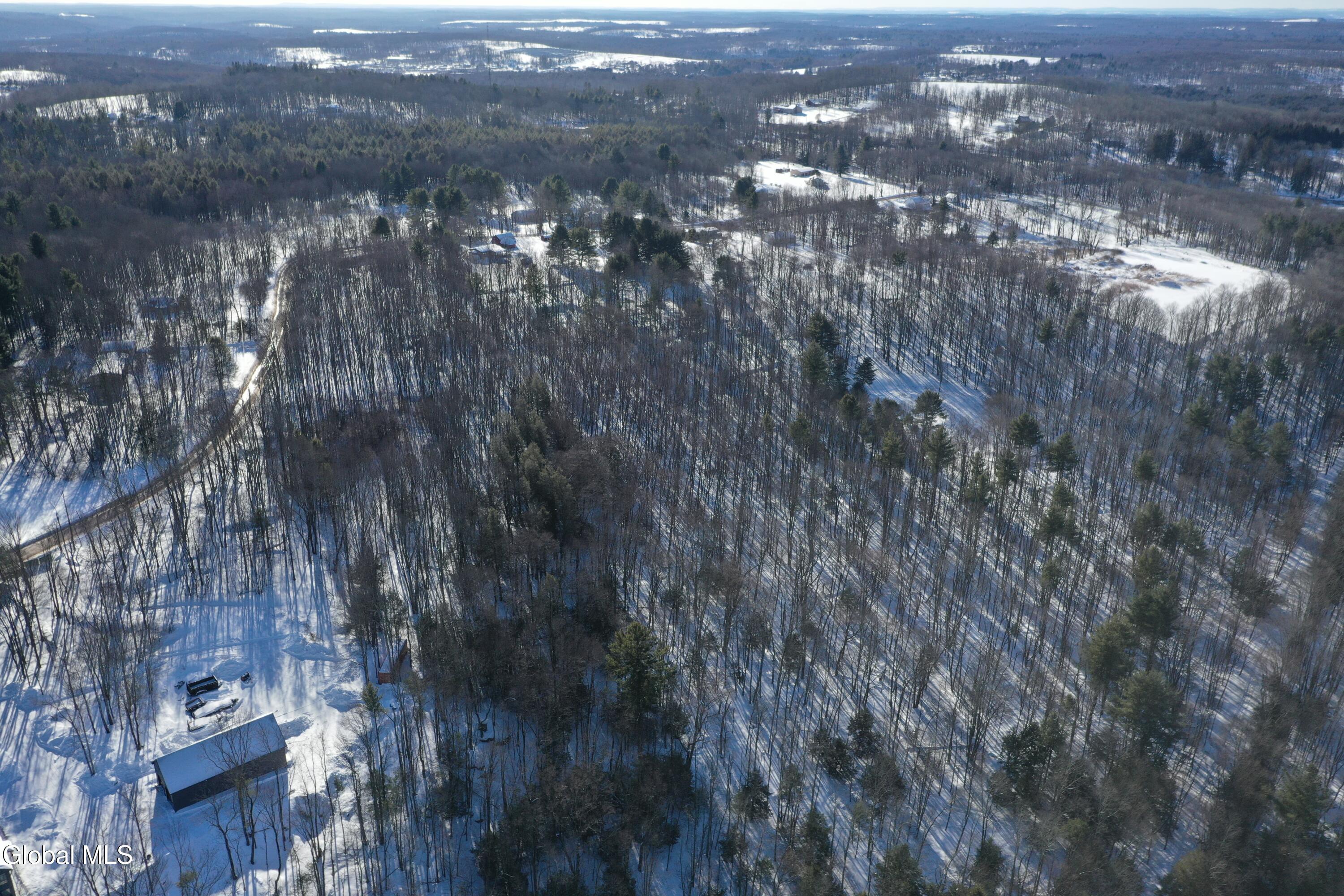 L37.1 Steiglitz Road Liberty, NY 12754 - Photo 11 of 27 DJI_0595 (1)