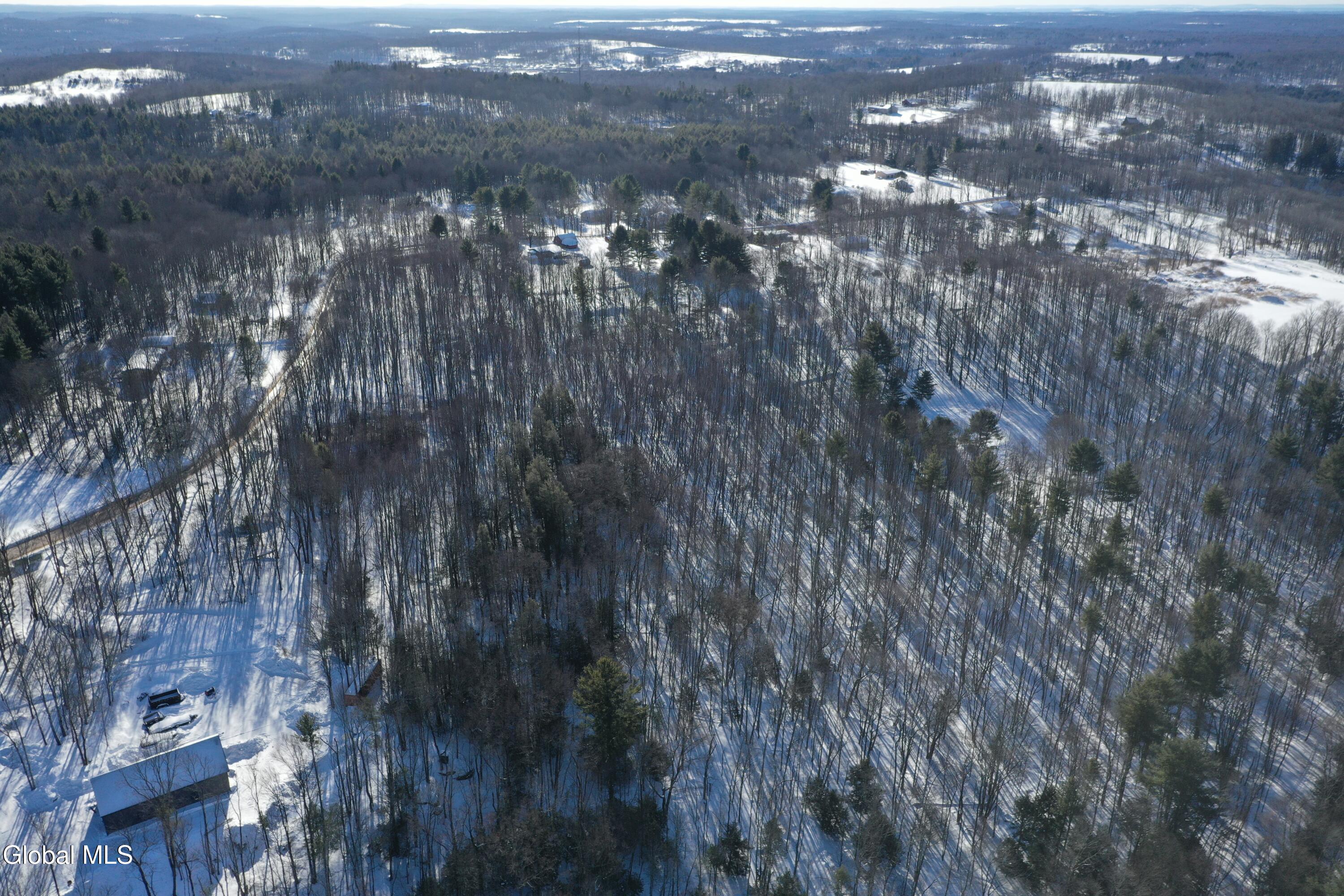 L37.1 Steiglitz Road Liberty, NY 12754 - Photo 12 of 27 DJI_0596