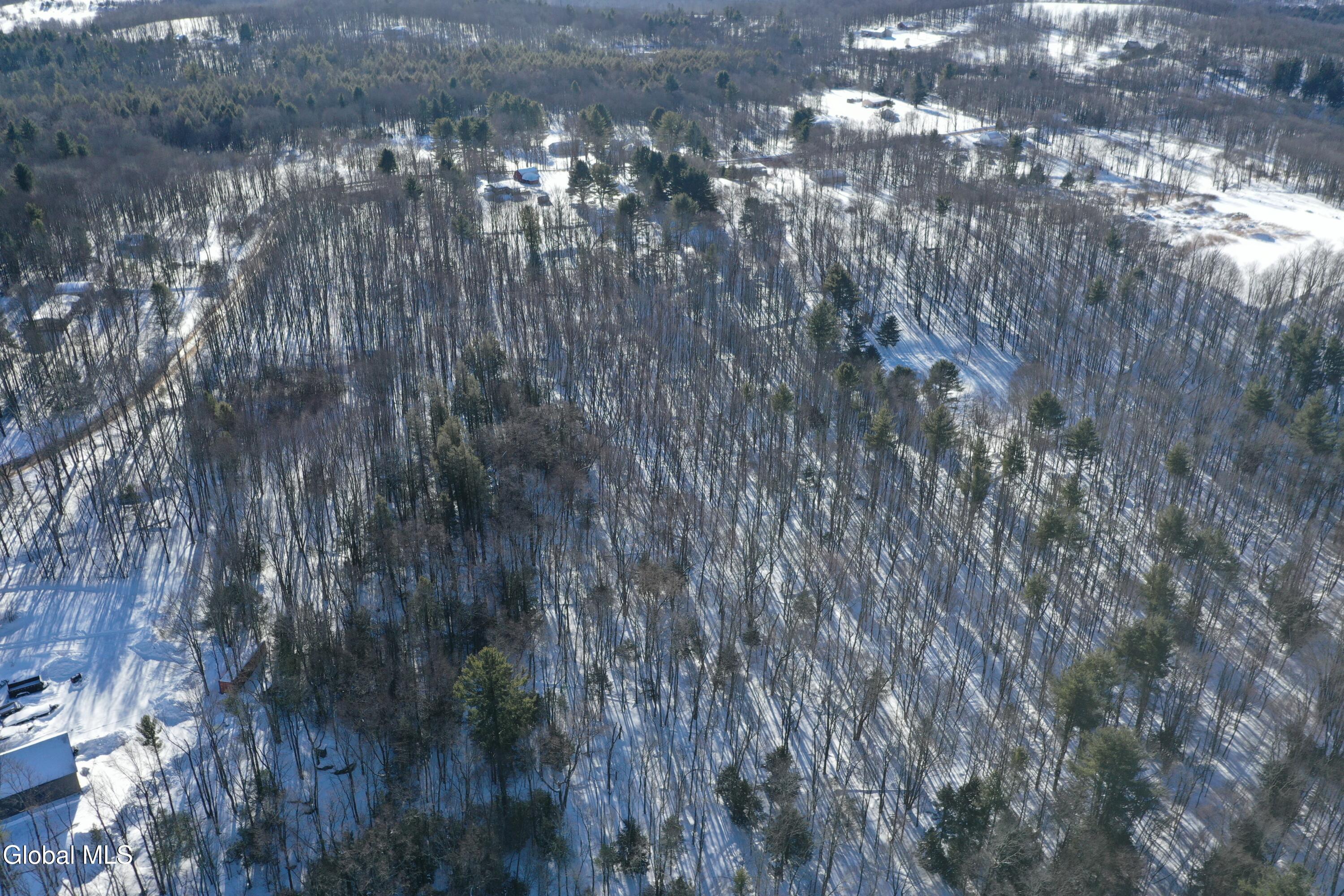 L37.1 Steiglitz Road Liberty, NY 12754 - Photo 13 of 27 DJI_0597