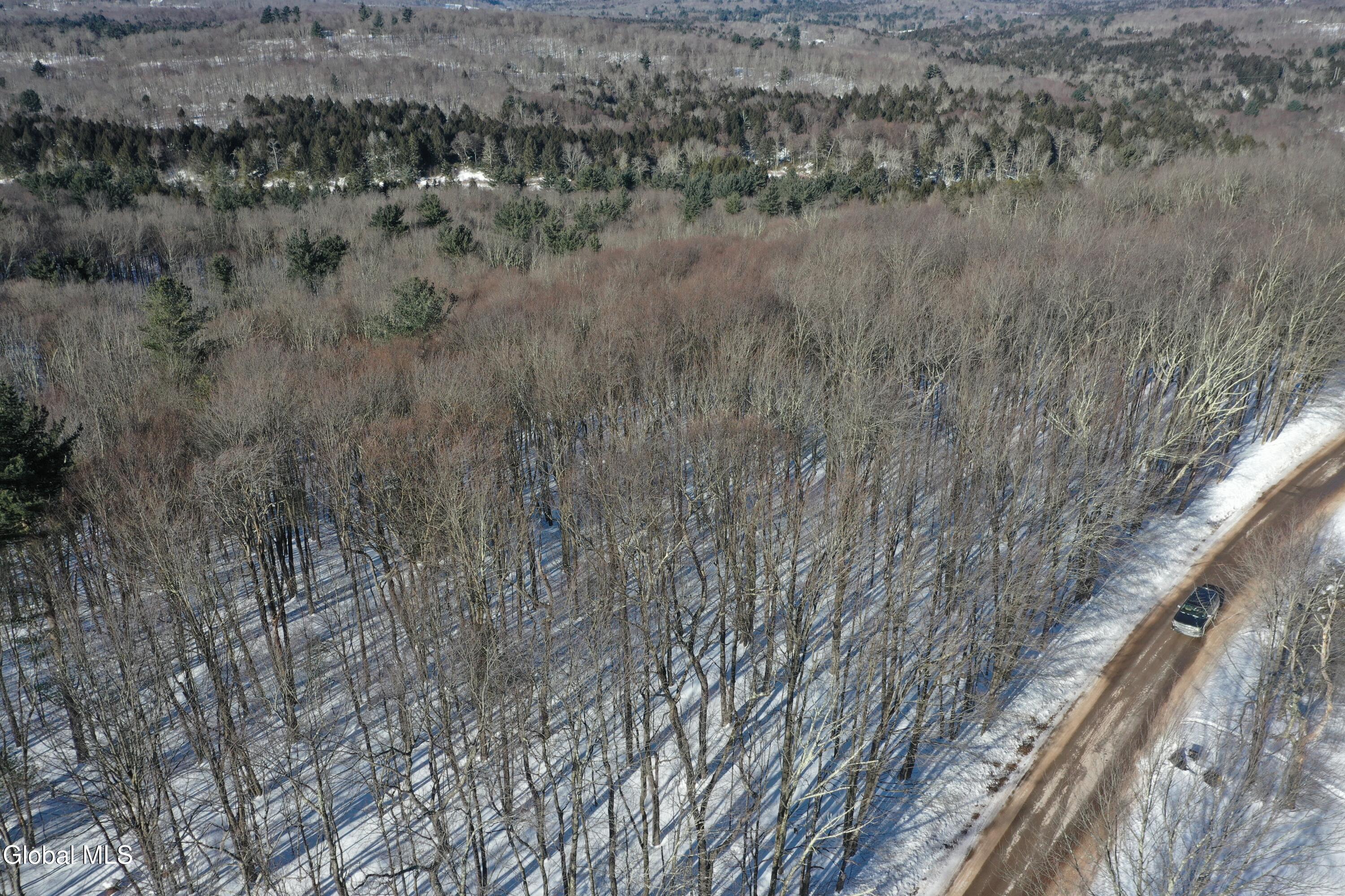 L37.1 Steiglitz Road Liberty, NY 12754 - Photo 14 of 27 DJI_0599