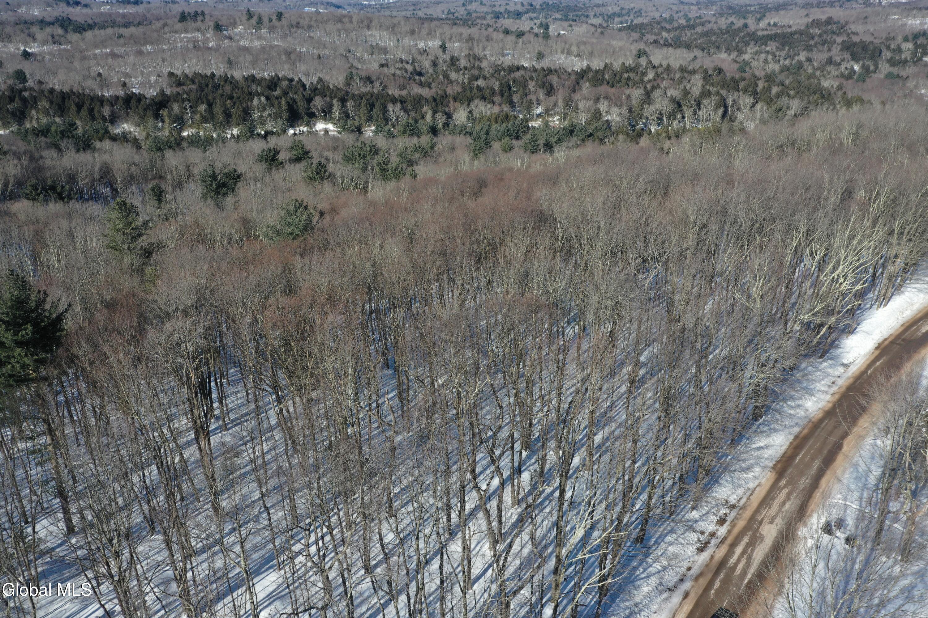 L37.1 Steiglitz Road Liberty, NY 12754 - Photo 15 of 27 DJI_0600
