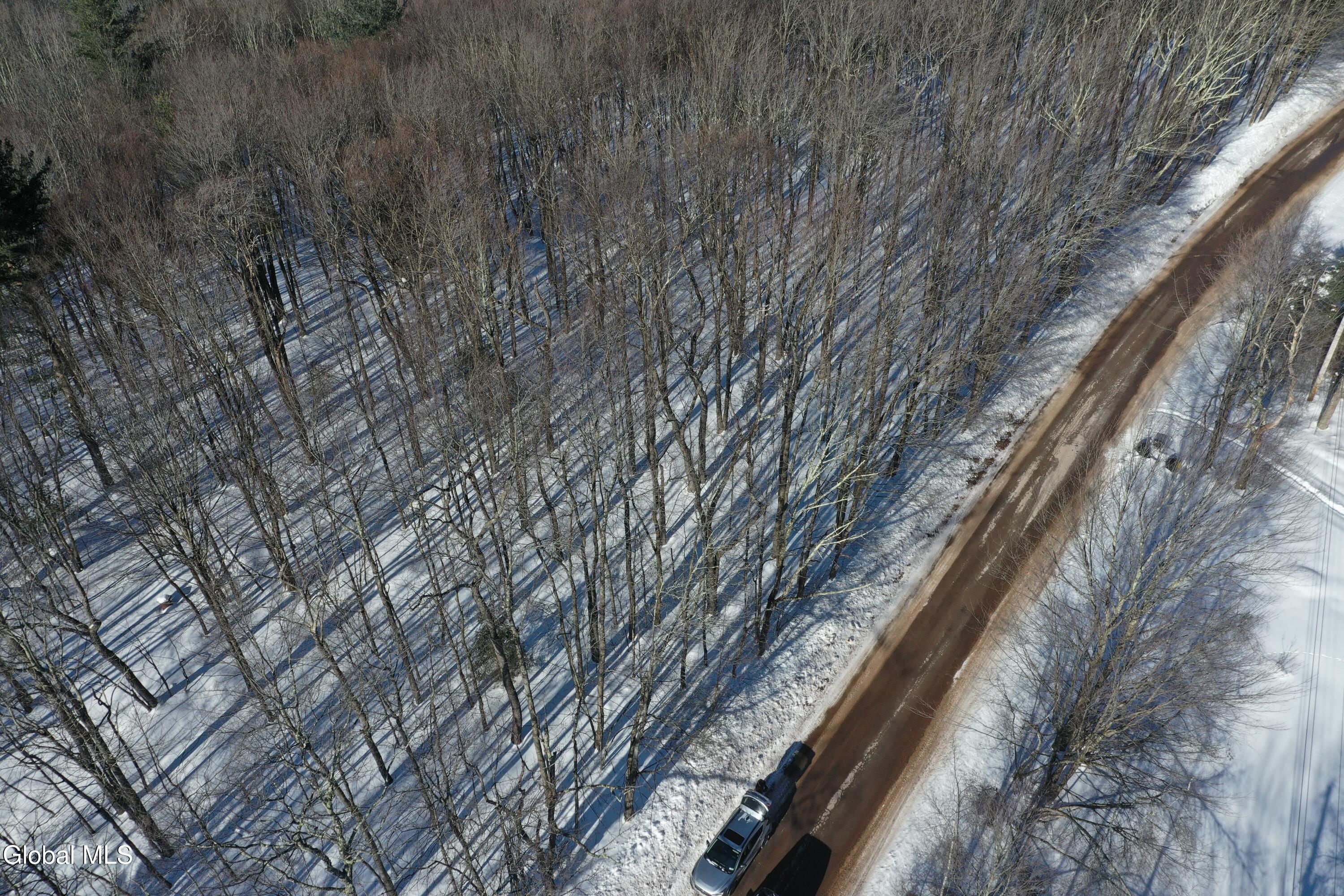 L37.1 Steiglitz Road Liberty, NY 12754 - Photo 16 of 27 DJI_0601