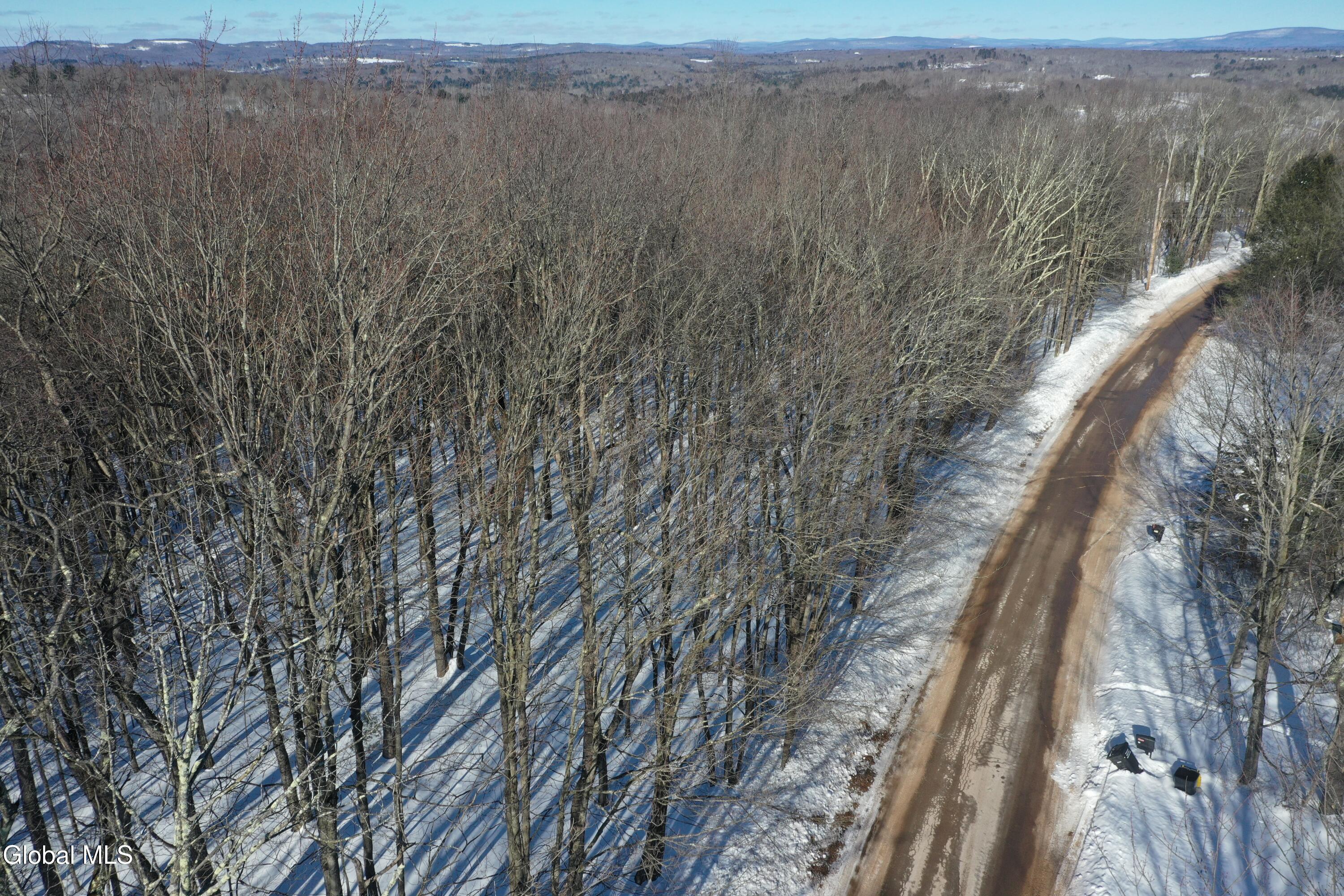 L37.1 Steiglitz Road Liberty, NY 12754 - Photo 17 of 27 DJI_0604