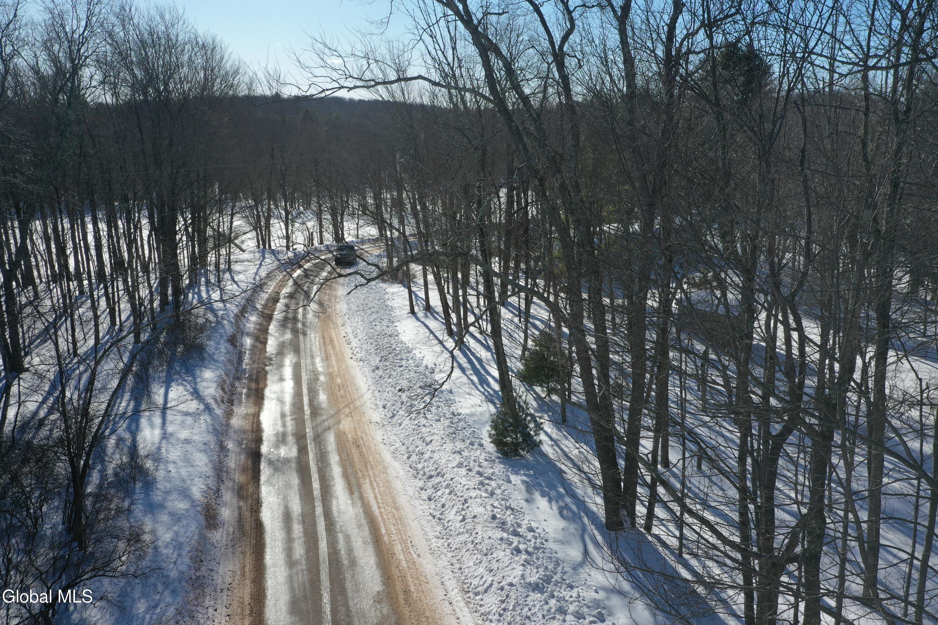 L37.1 Steiglitz Road Liberty, NY 12754 - Photo 18 of 27 DJI_0606