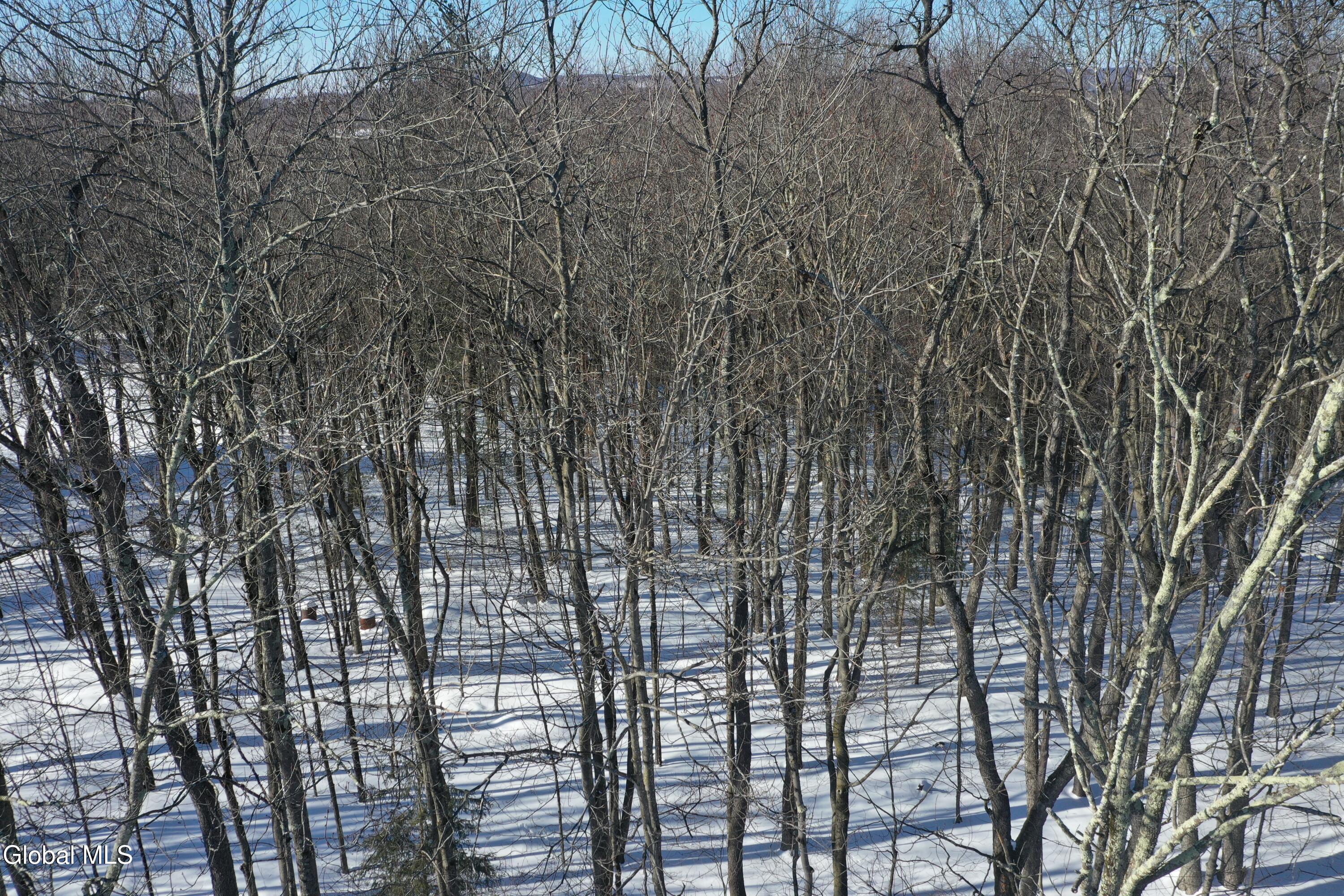 L37.1 Steiglitz Road Liberty, NY 12754 - Photo 19 of 27 DJI_0605