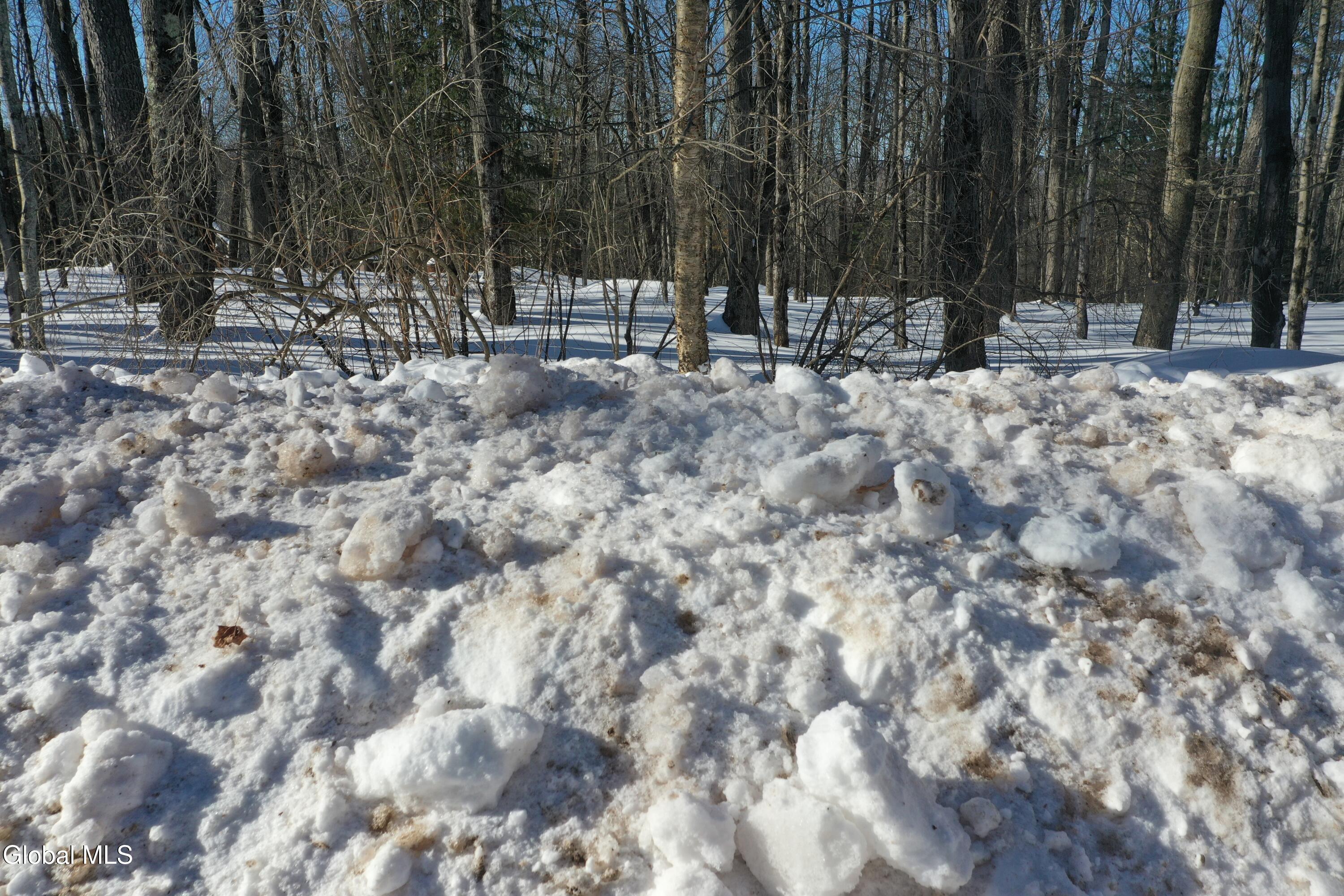 L37.1 Steiglitz Road Liberty, NY 12754 - Photo 20 of 27 DJI_0607