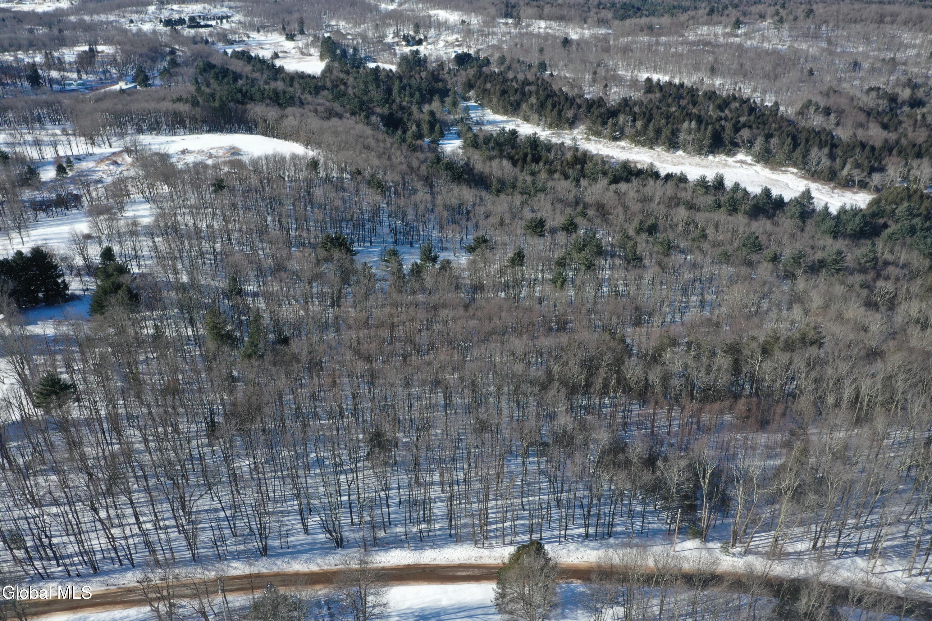 L37.1 Steiglitz Road Liberty, NY 12754 - Photo 21 of 27 DJI_0585