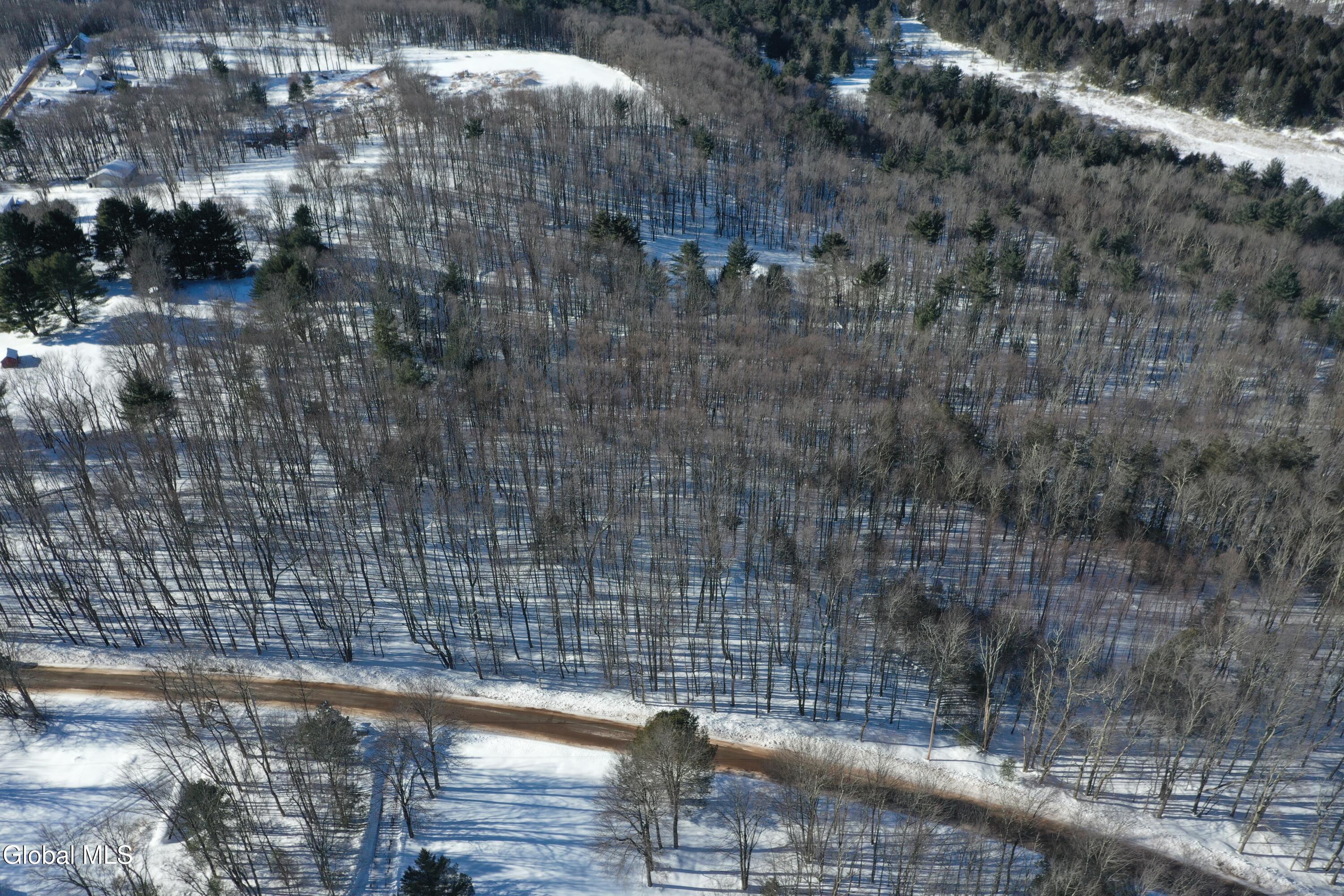 L37.1 Steiglitz Road Liberty, NY 12754 - Photo 3 of 27 DJI_0586 (1)