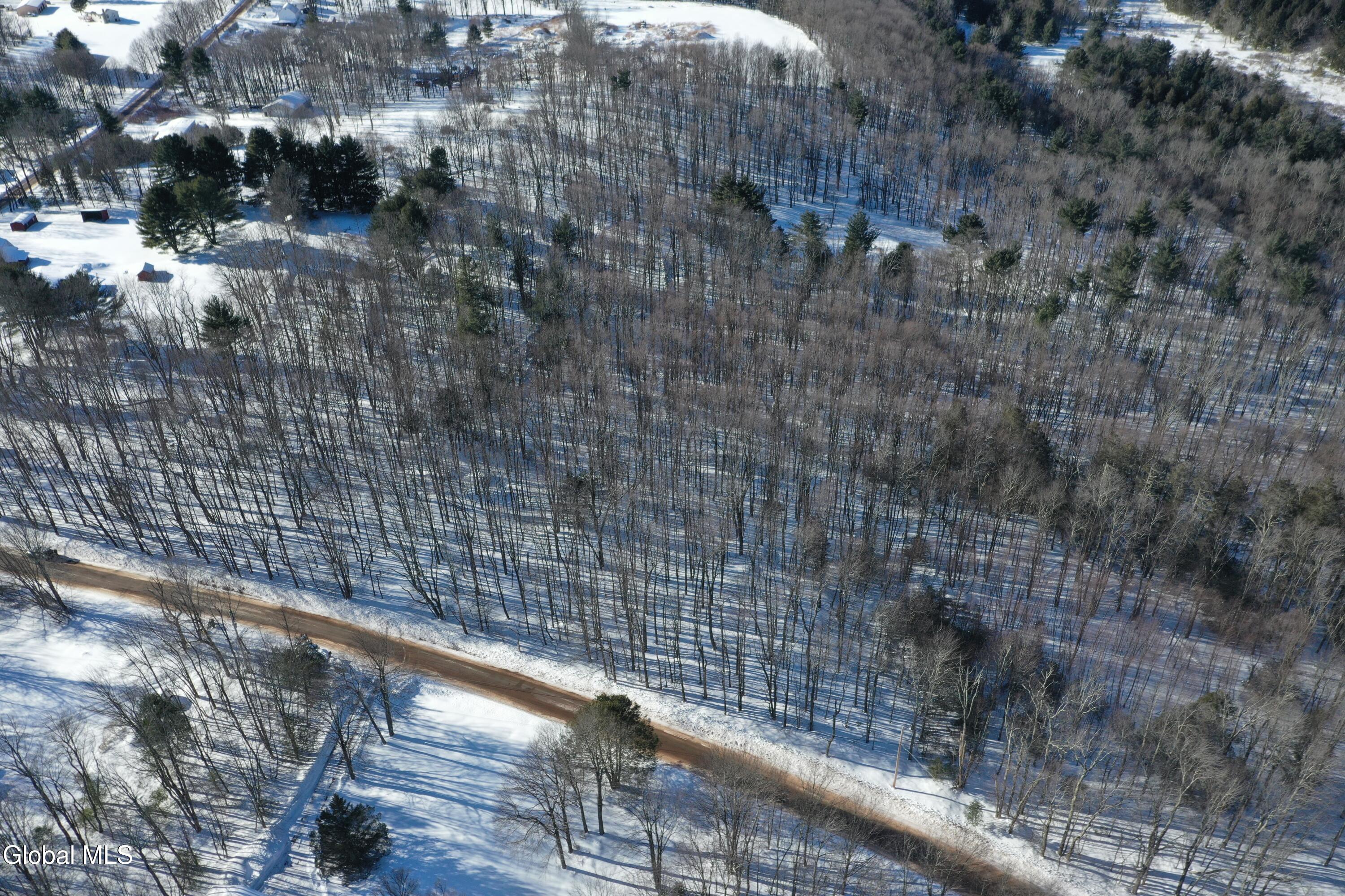 L37.1 Steiglitz Road Liberty, NY 12754 - Photo 4 of 27 DJI_0587 (1)