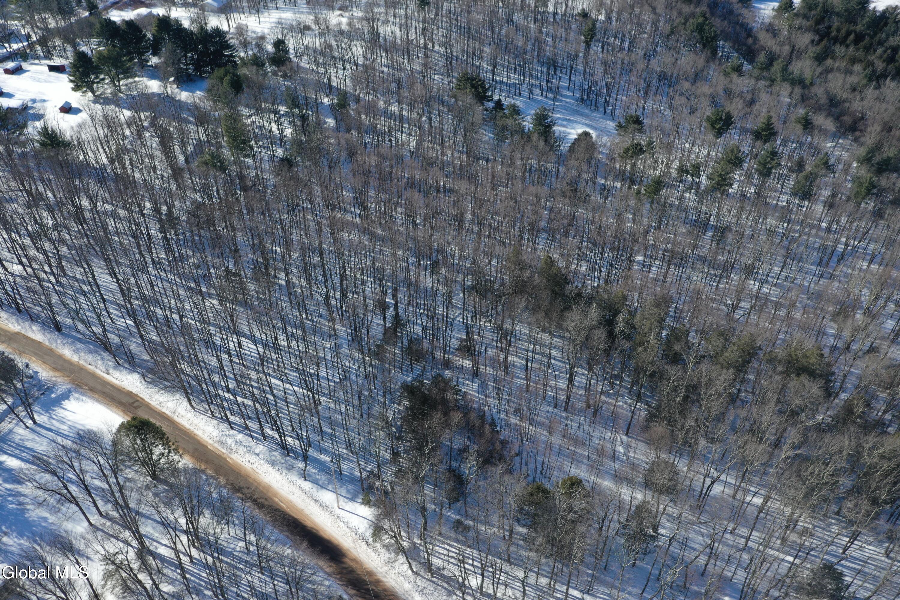 L37.1 Steiglitz Road Liberty, NY 12754 - Photo 6 of 27 DJI_0589 (1)