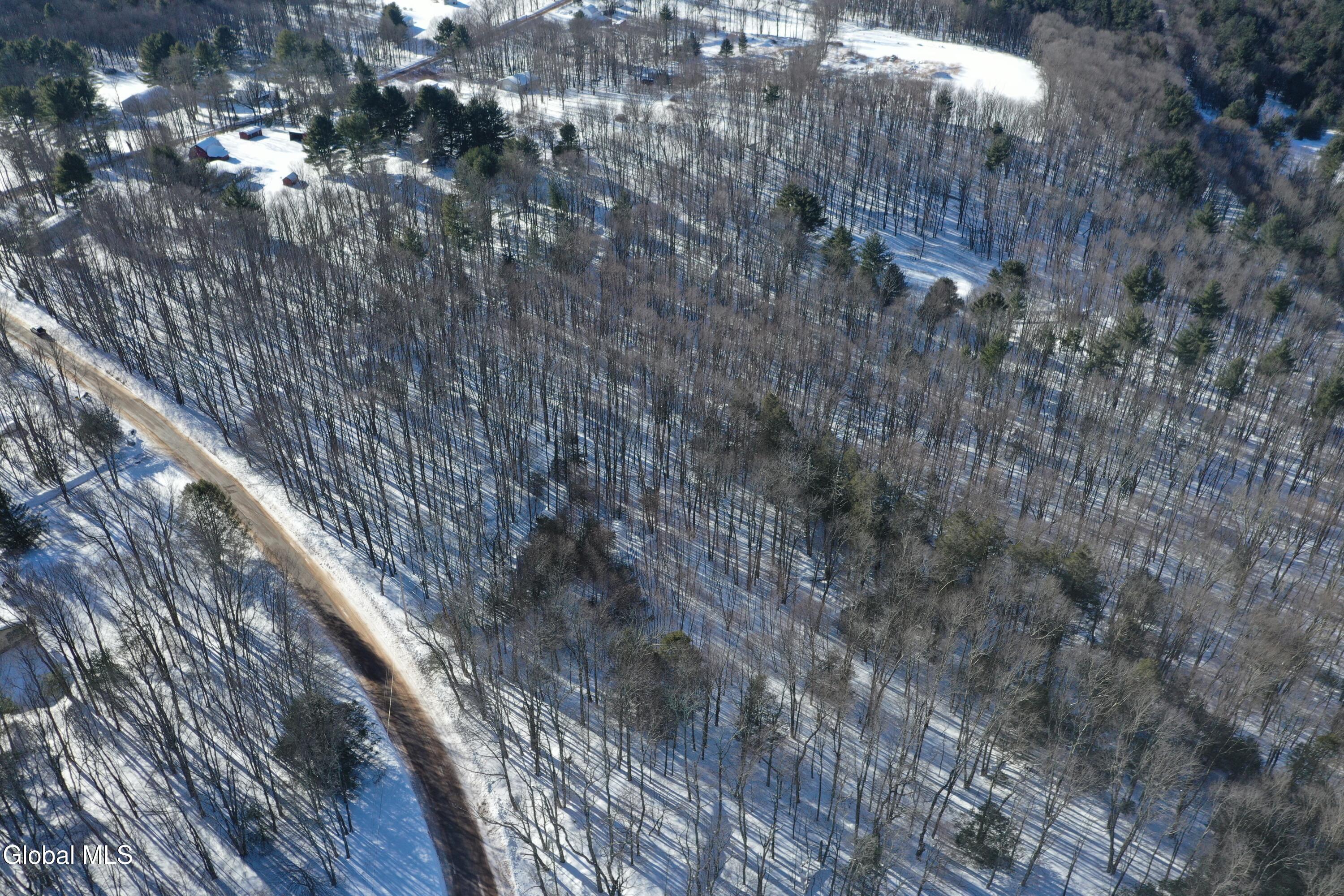 L37.1 Steiglitz Road Liberty, NY 12754 - Photo 7 of 27 DJI_0590 (2)