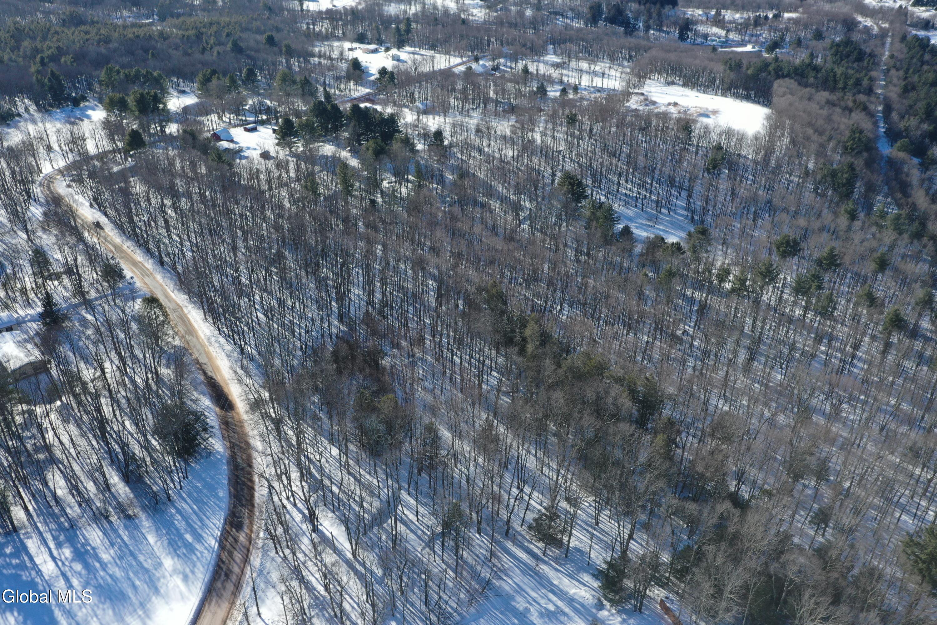L37.1 Steiglitz Road Liberty, NY 12754 - Photo 8 of 27 DJI_0591 (2)